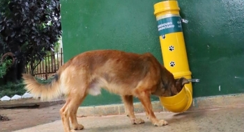 Com altas temperaturas, Prefeitura de Goiânia intensifica oferta de água para animais em parques